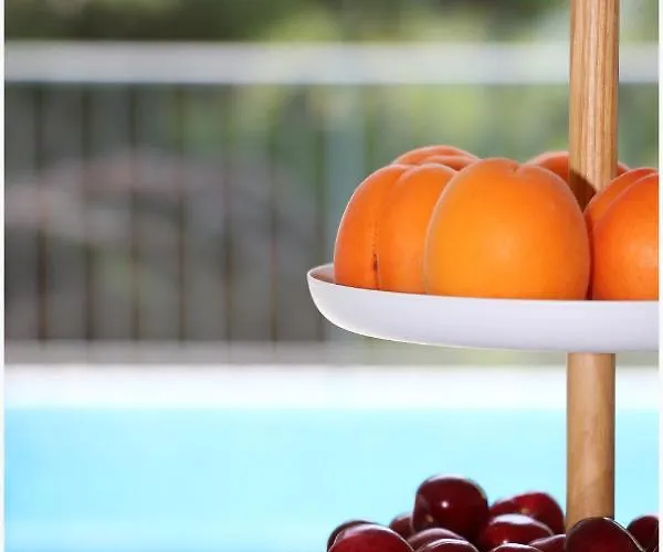 Nika * 프리모스턴